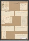 Diatomeae indet. (de-Toni-Nr.: Species 1263 ?) Zeichnungen Sammlung Grunow Nr. 2463 (NHMW-BOT-W0369635)